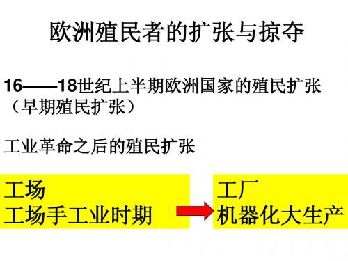 高三复习_殖民扩张与世界市场的形成