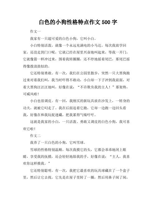 白色的小狗性格特点作文500字