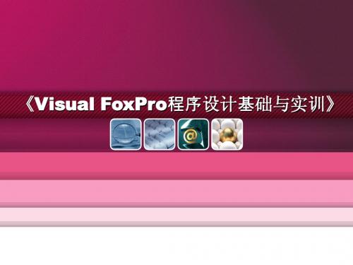 VF PPT文档