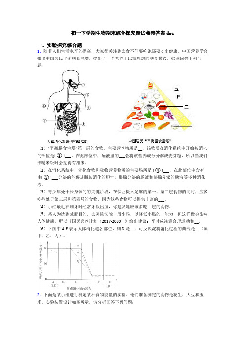初一下学期生物期末综合探究题试卷带答案doc
