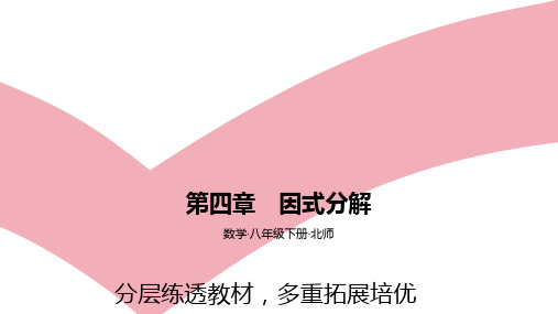 中考数学八年级下册北师大版 第四章 因式分解  B素养拓展区