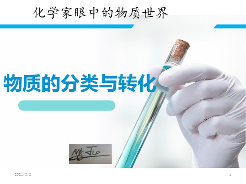 苏教版化学必修一物质的分类与转化精选课件PPT