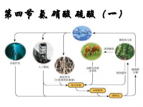 氨、硝酸、硫酸PPT课件