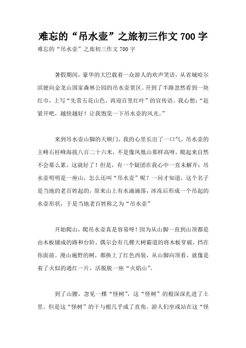 难忘的“吊水壶”之旅初三作文700字