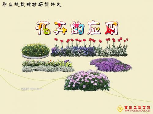 花卉的应用