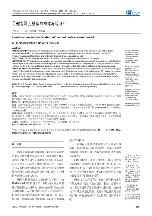 足部有限元模型的构建与验证