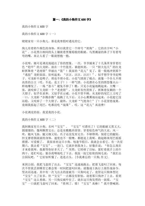 令我难忘的一只狗,作文