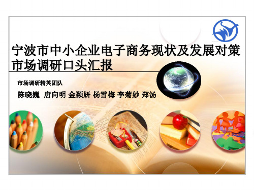 宁波市中小企业电子商务现状及发展对策市场调研口头汇报(精)