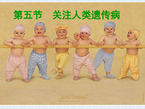 2012高一生物课件4.5《关注人类遗传病》(苏教版必修2)