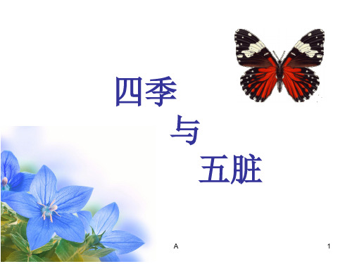 四季与五脏