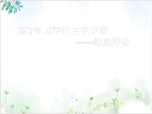 人教版高中生物必修一ATP的主要来源——细胞呼吸(60张)-PPT优秀课件