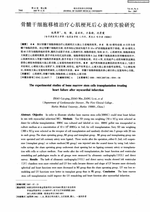骨髓干细胞移植治疗心肌梗死后心衰的实验研究