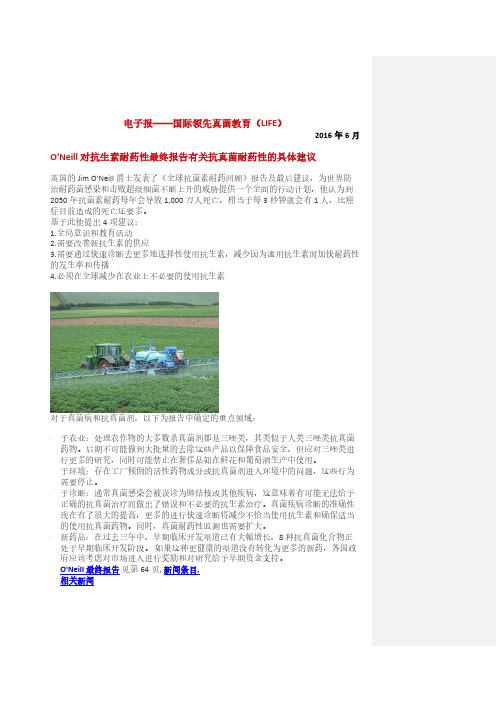 电子报——国际领先真菌教育(LIFE)
