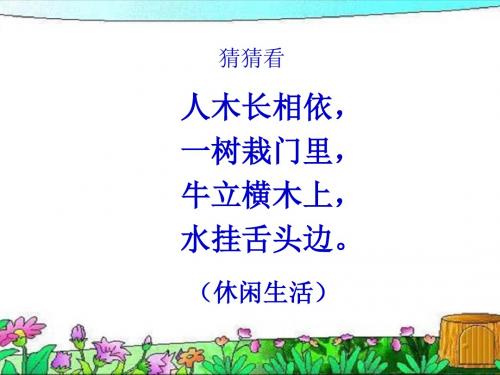 最新小学六年级品德与社会《健康文明的休闲生活》优秀教学课件