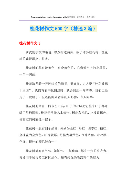 桂花树作文500字(精选3篇)