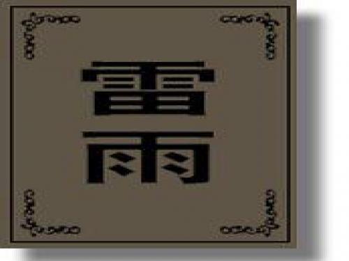 语文：1.2《雷雨(节选)》课件(1)(新人教版必修4)