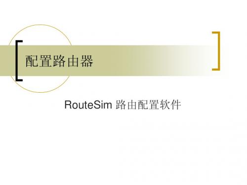 RouteSim V2.1软件 (常用命令及使用)