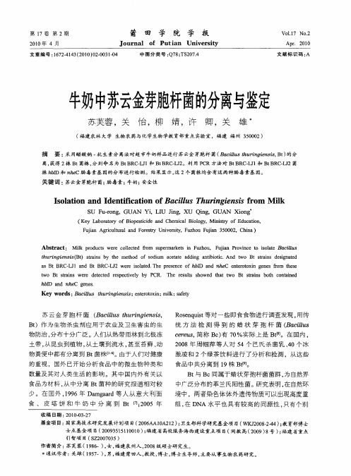 牛奶中苏云金芽胞杆菌的分离与鉴定