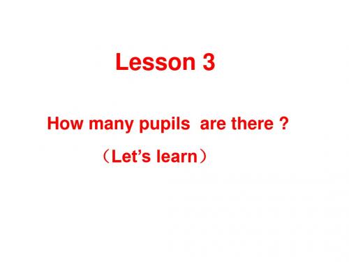 五年级下册英语课件-Lesson 3《How many pupils are there》｜科普版(三起)     (共13张PPT)