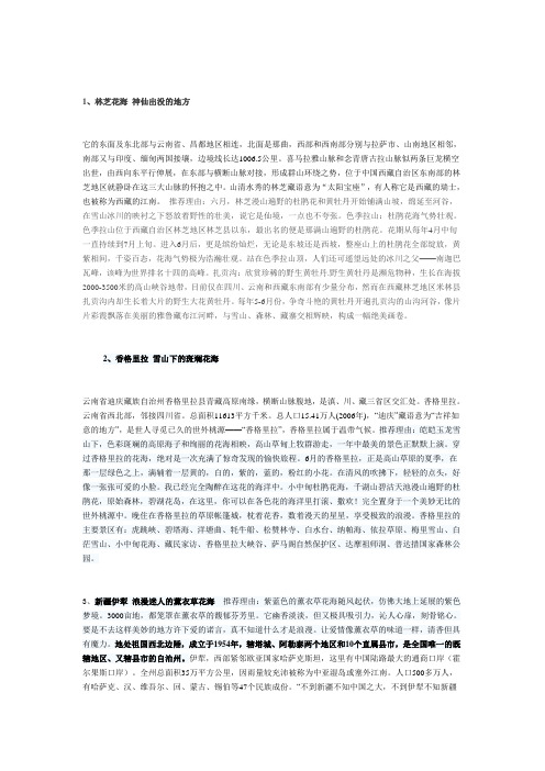 中国七大花海