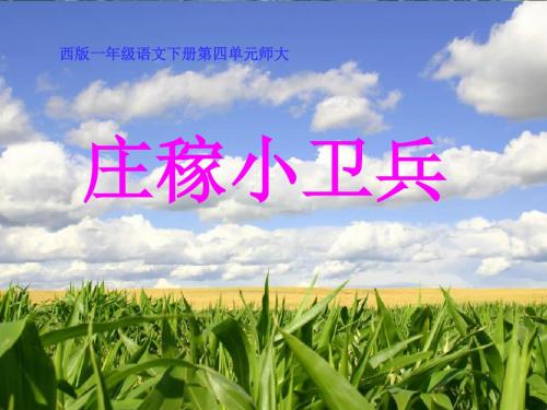【小学课件】《庄稼小卫兵》优质PPT课件