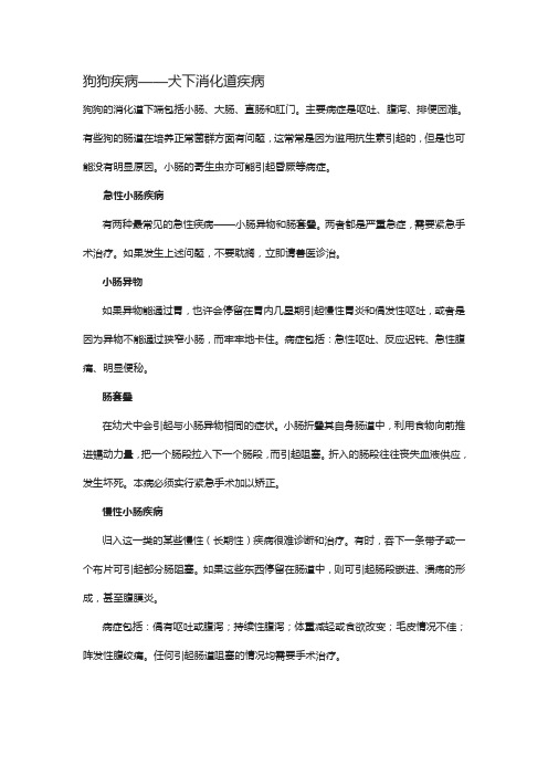 狗狗疾病——犬下消化道疾病