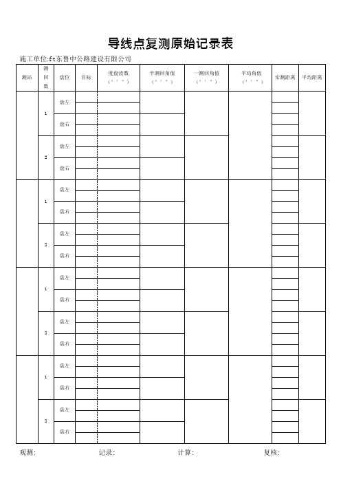 导线点复测原始记录表(可编辑修改word版)