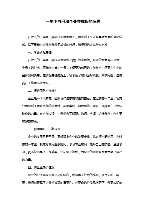 一年中自己和企业共成长的感想