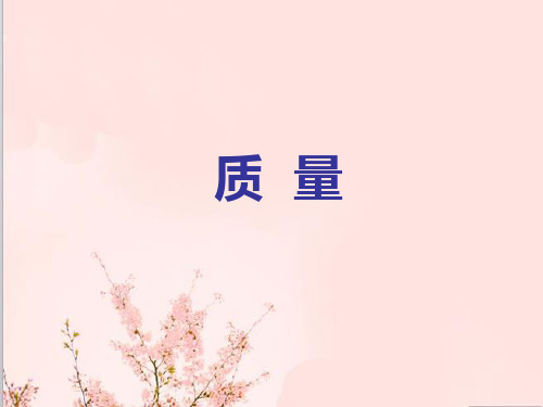 沪科版《 质量》课件