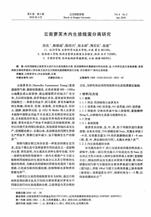 云南萝芙木内生放线菌分离研究