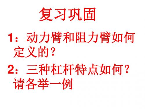 其他简单机械 (阜阳未来学校   张振).
