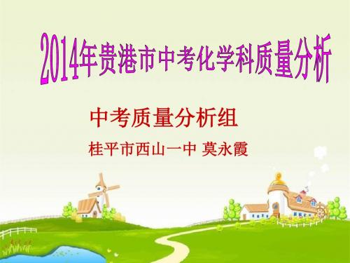 2014中考化学科质量分析