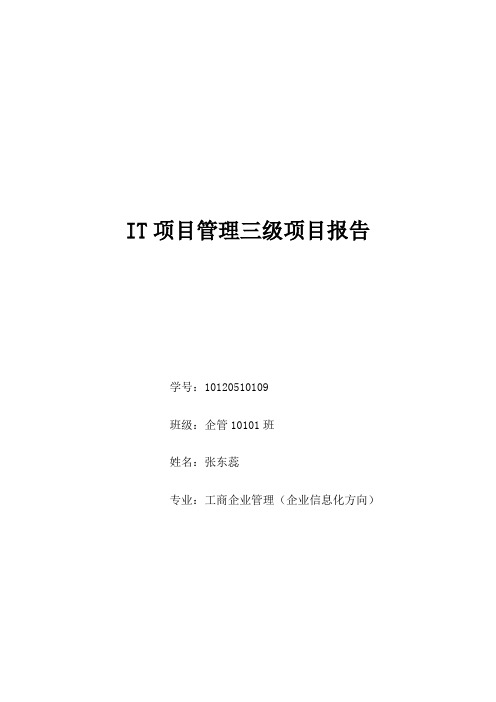 东软IT三级项目报告-