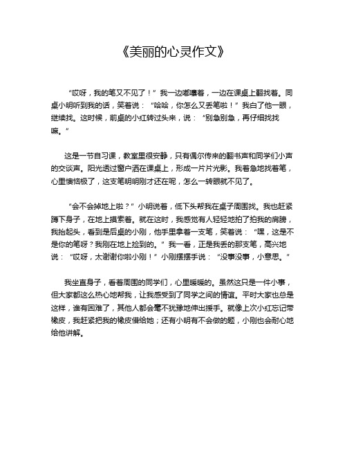 《美丽的心灵作文》