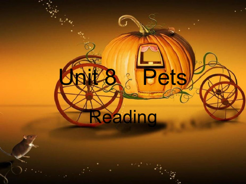 江苏省七年级英语下册《Unit 8 Pets》课件2
