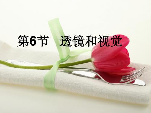 浙教版七年级科学下册  透镜和视觉