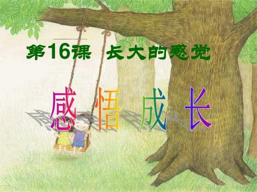 七年级政治感悟青春3