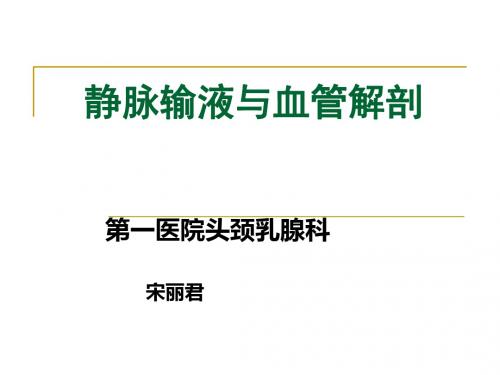 静脉输液与血管解剖20081017-PPT文档资料
