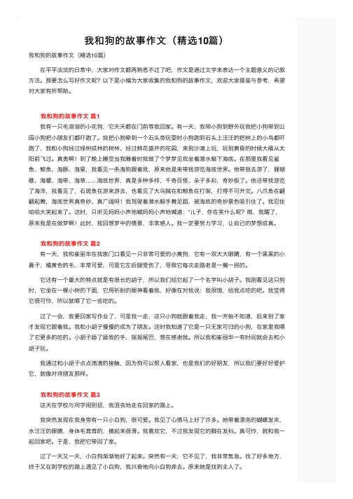 我和狗的故事作文（精选10篇）