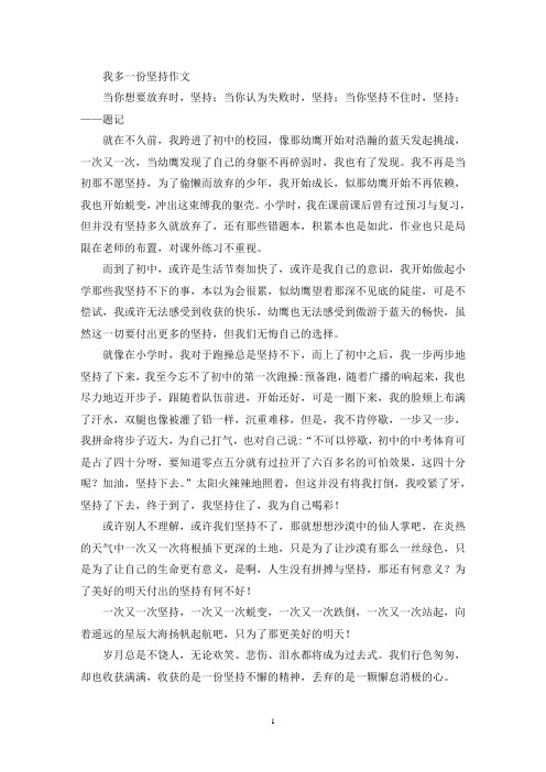我多一份坚持作文(精选)