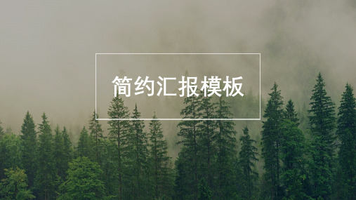 简约风汇报PPT模板