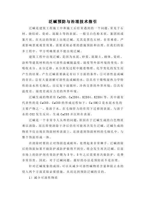 泛碱预防与治理技术指引