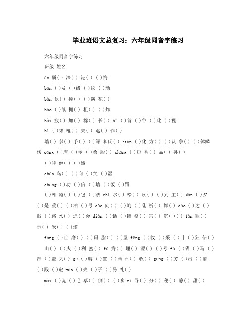 毕业班语文总复习：六年级同音字练习