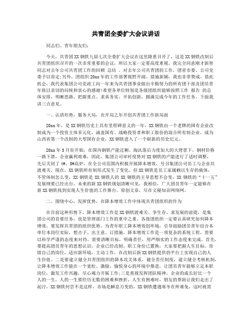 共青团全委扩大会议讲话