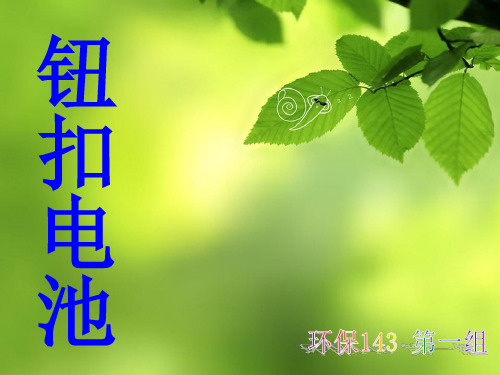 钮扣电池