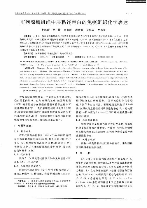 前列腺癌组织中层粘连蛋白的免疫组织化学表达