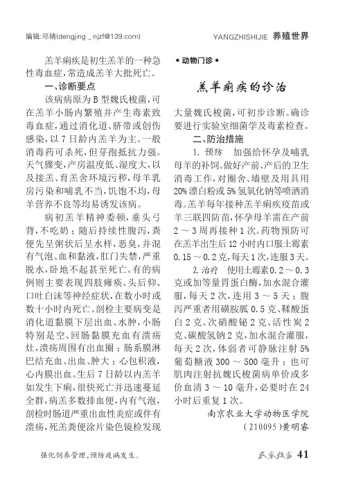 羔羊痢疾的诊治
