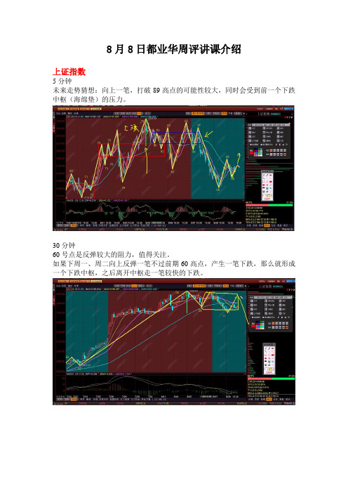 2014年8月8日都业华周评讲课介绍 (1)