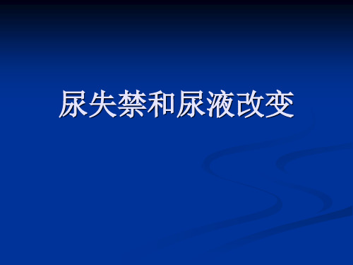 尿失禁和尿液改变.ppt