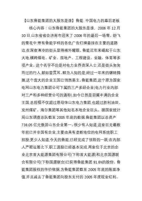 山东鲁能集团的大股东是谁鲁能 中国电力的幕后老板
